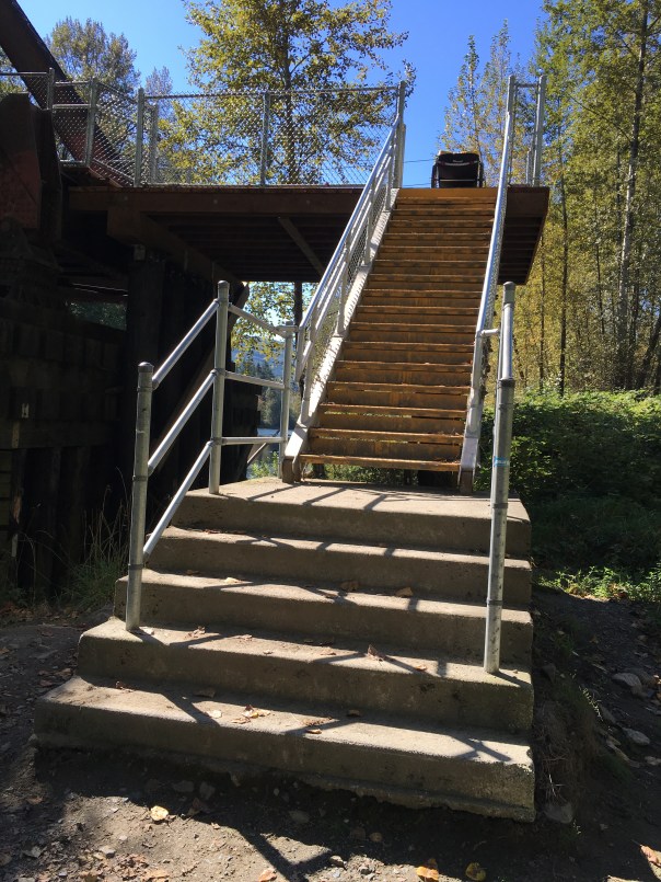 20160921_203553624_ios