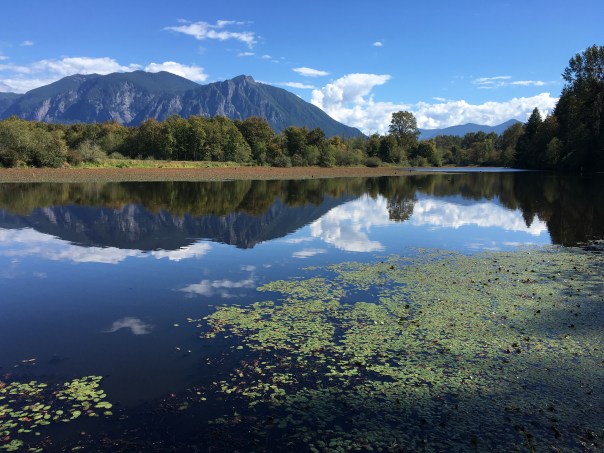 20160921_210445113_ios