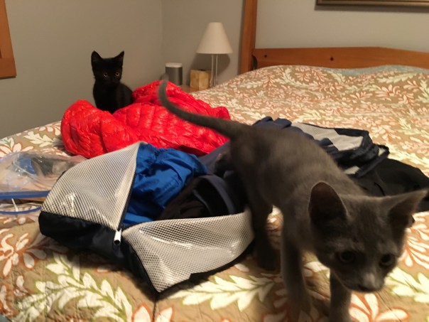 20160922_001234248_ios